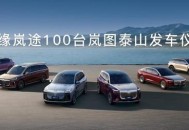 岚图泰山批量交付新疆机场西北高端出行迎来中国力量