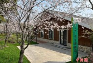 （长江十年行）从沱沱河到长江口：十一座邮局串联万里护江路